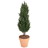 56 inch Artificial Outdoor Cypress Tree