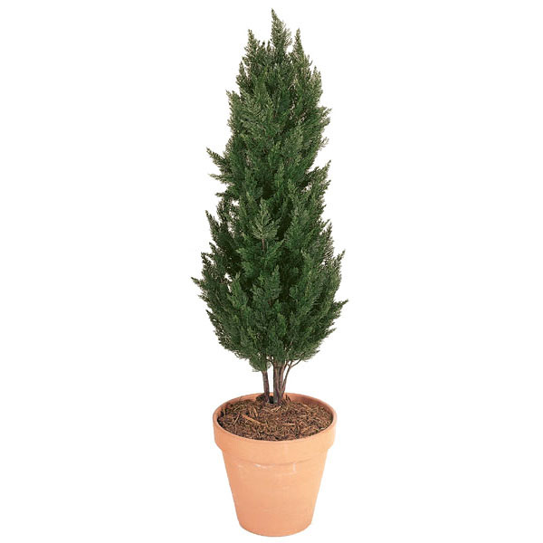 56 Inch Artificial Outdoor Cypress Tree