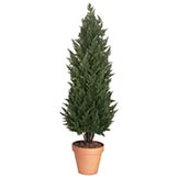 6 foot Artificial Outdoor Cypress Tree