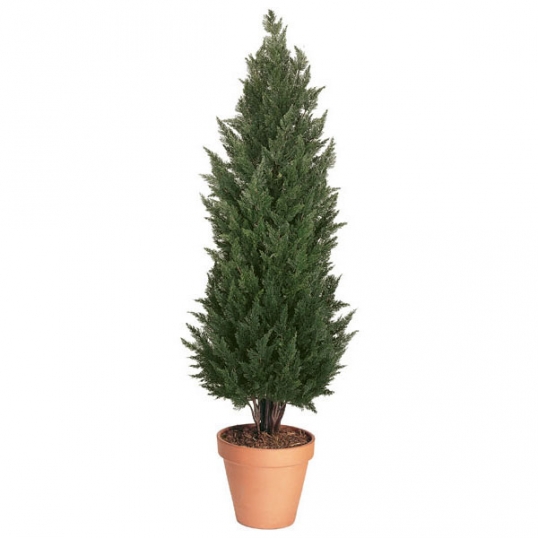 6 foot Artificial Outdoor Cypress Tree
