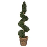 6 foot Artificial Outdoor Polycaise Spiral Topiary with Natural Trunk