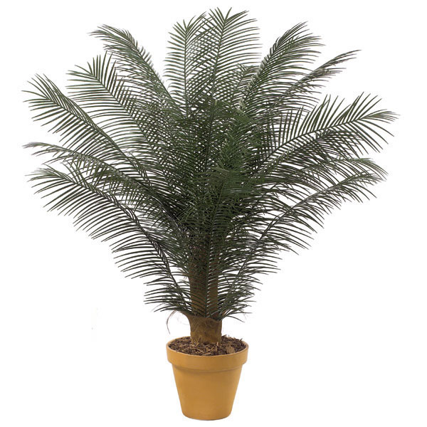 6 foot Outdoor Artificial Phoenix Palm Cluster with 18 Fronds