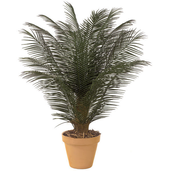 5 Foot Outdoor Artificial Phoenix Palm Cluster With 18 Fronds