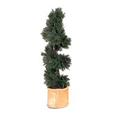 4 foot Artificial Outdoor Juniper Spiral Topiary with Natural Trunk