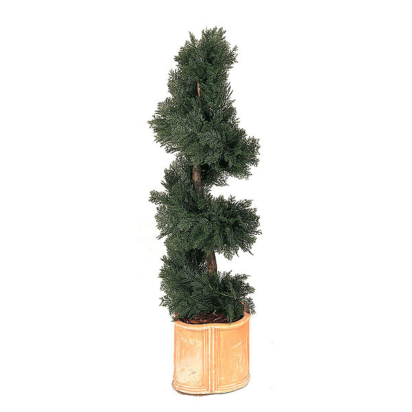 4 Foot Artificial Outdoor Juniper Spiral Topiary With Natural Trunk