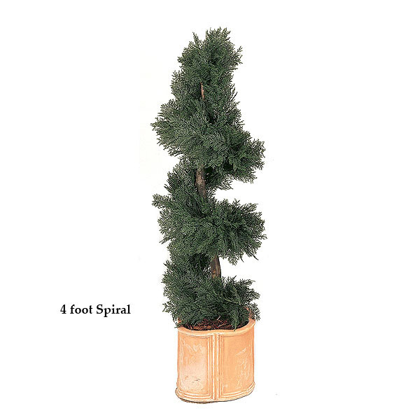 5 Foot Artificial Outdoor Juniper Spiral Topiary With Natural Trunk