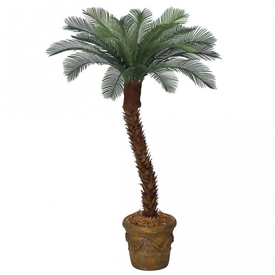 7 foot Artificial Outdoor Cycas Palm with 18 Fronds & Polyblend Trunk