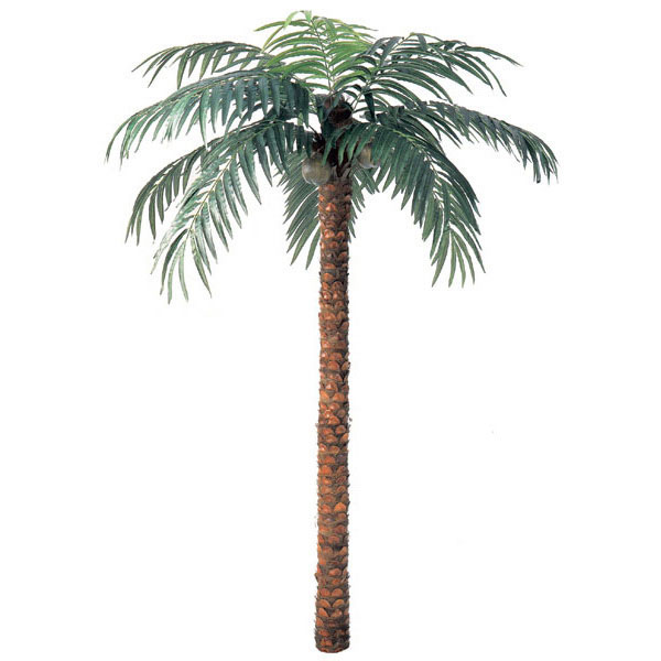 12 foot Artificial Coconut Palm with Natural Trunk
