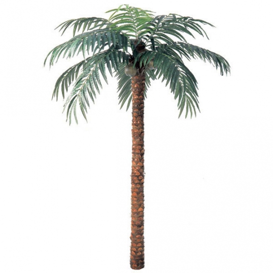 12 foot Artificial Coconut Palm with Natural Trunk