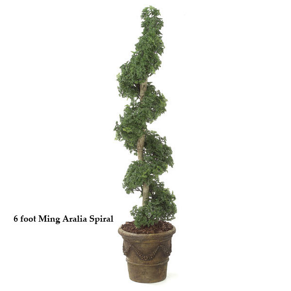 5 foot Outdoor Artificial Ming Aralia Spiral Topiary