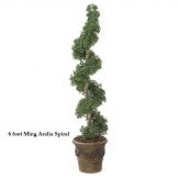 5 foot Outdoor Artificial Ming Aralia Spiral Topiary