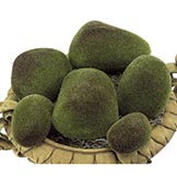Plastic Moss Rocks - Set of 6