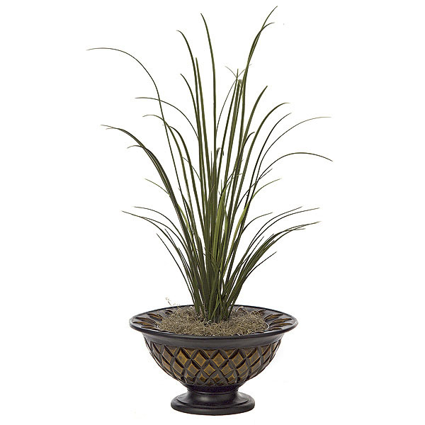 45 inch River Grass Bush: Potted (Set of 2)