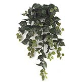 36 inch Outdoor Bougainvillea Bush: Unpotted