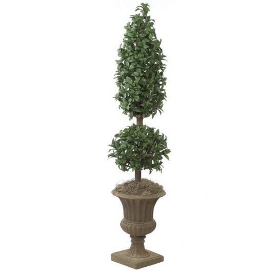 6 Foot Laurel Cone And Ball Topiary Potted W 2450 Slim Logo 6 Foot Laurel Cone And Ball Topiary Potted