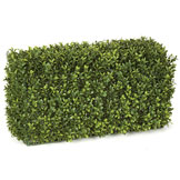 12 x 24 x 11 inch 5 sided Outdoor Boxwood Hedge