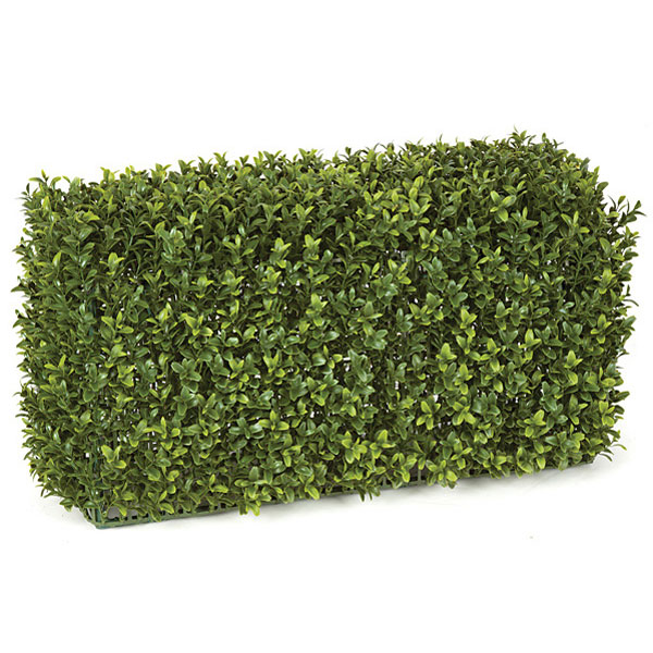 12 X 24 X 11 Inch 5 Sided Outdoor Boxwood Hedge