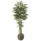 7 foot Bamboo Tree: Potted
