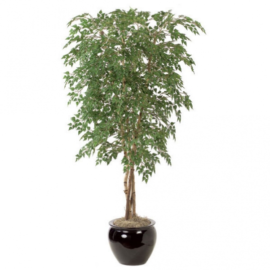 artificial potted birch trees