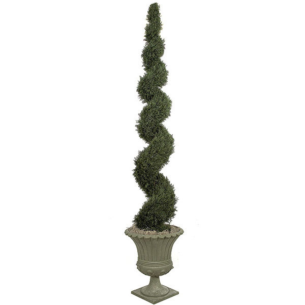 10 Foot Cypress Spiral Topiary