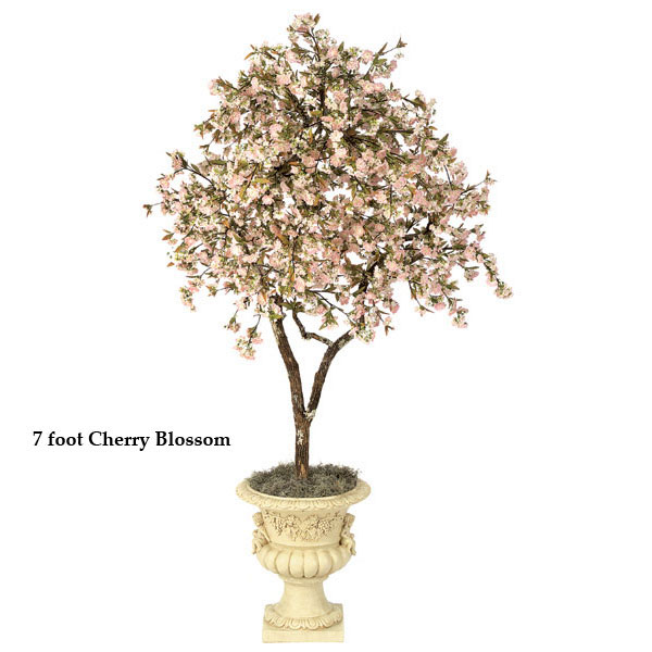 6 Foot Cherry Blossom Tree: Multiple Colors