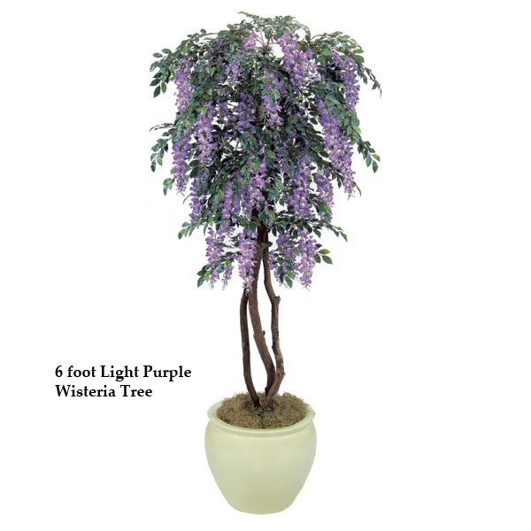 5 foot Wisteria Tree: Multiple Colors
