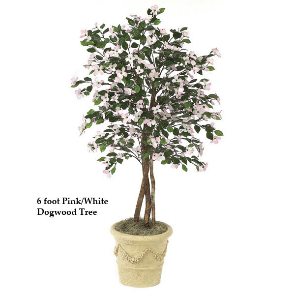 6 foot Dogwood Tree: Multiple Colors
