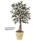 8 foot Dogwood Tree: Multiple Colors
