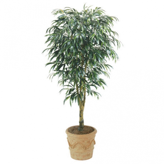8 foot Artificial Ficus Alii Tree: Potted