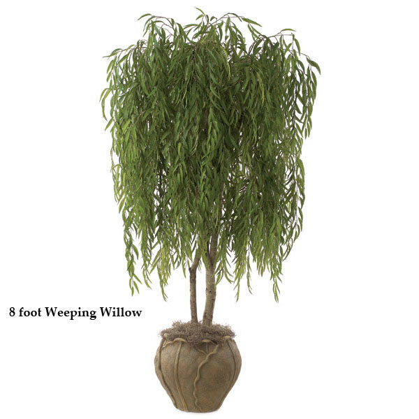 AGF1271 8 foot Weeping Willow: Potted sku AGF1271