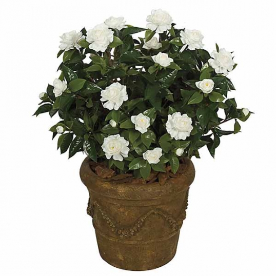 28 Inch Artificial Outdoor Gardenia Flowers Red And White A 073 - White Silk Gardenia Flower 28 Inch Artificial Outdoor Gardenia Flowers Red And White A 073 - White Silk Gardenia Flower