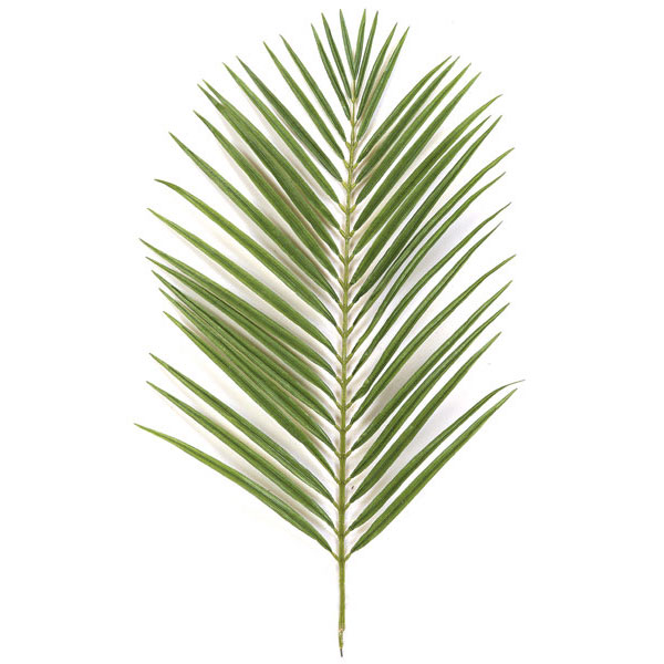 36 Inch Areca Palm Branch With 42 Leaves (set Of 12)