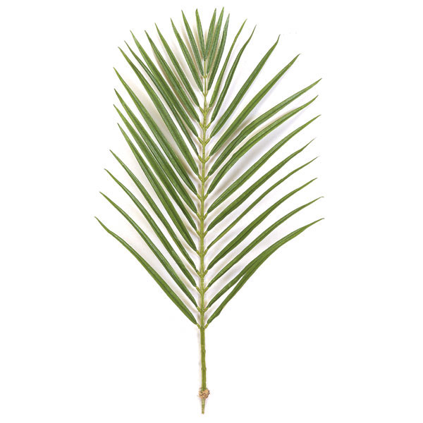 36 Inch Areca Palm Branch With 32 Leaves (set Of 12)