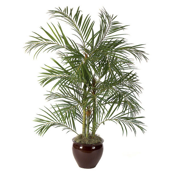 6 foot Artificial Areca Palm: Potted