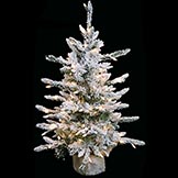 32 inch Flocked Long Needle Christmas Tree: Clear Lights