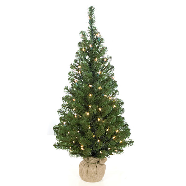 36 Inch Mountain Pine Tree In Burlap Base: Clear Lights