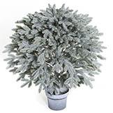 27 inch Plastic Frosted Balsam Fir Topiary Ball: Potted