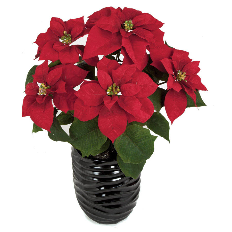 23 inch Red Poinsettia Bush with 5 Flowers (Set of 3)