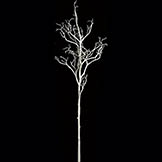 6 foot x 24 inch Plastic Coral Branch