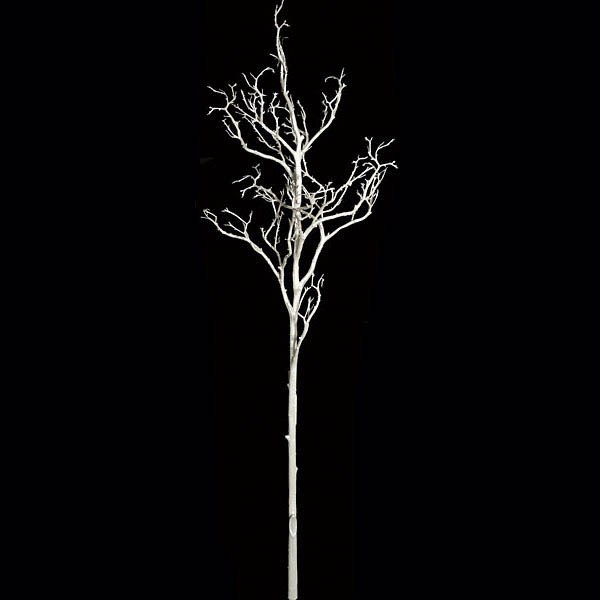 6 foot x 24 inch Plastic Coral Branch