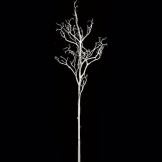 6 foot x 24 inch Plastic Coral Branch