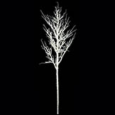80 inch Plastic Snow Covered Populus Tree: Unlit