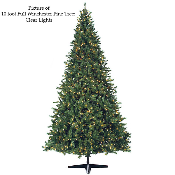 Full Winchester Pine Tree