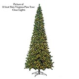 10 foot Slim Virginia Pine Christmas Tree: Clear LEDs