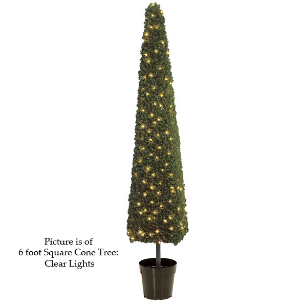 Square Cone Tree Topiary