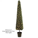 Square Cone Tree Topiary
