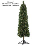 Concord Pencil Pine Tree