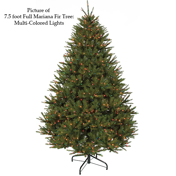 9 Foot Fluff Free Full Mariana Fir Christmas Tree: Clear Light