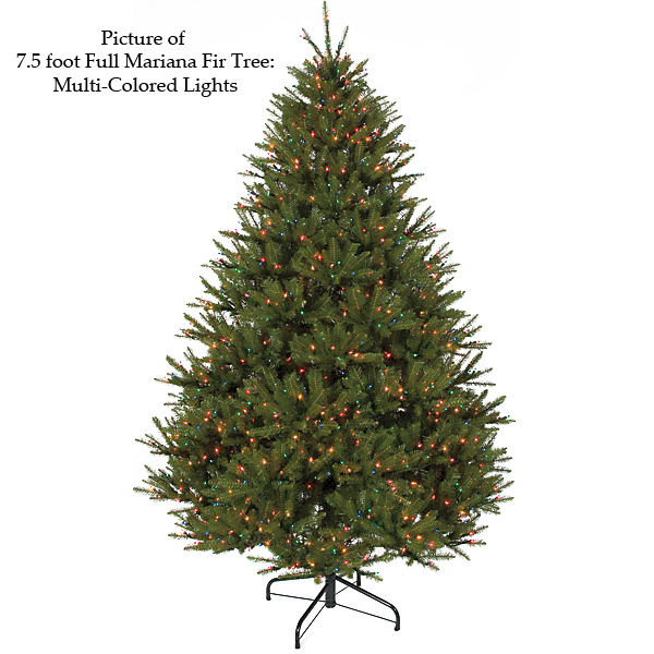 9 foot Fluff Free Full Mariana Fir Christmas Tree: Clear Light