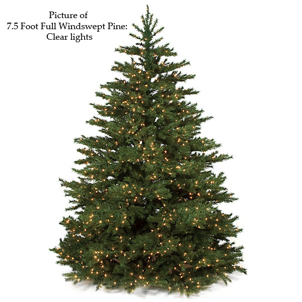 Full Windswept Pine Tree - AGF3058 - Our Brands Decorate your home or office interior with a Winds sku AGF3058